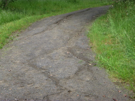 Blacktail Way has some ruts in the trail surface Blacktail Way has some ruts in the trail surface